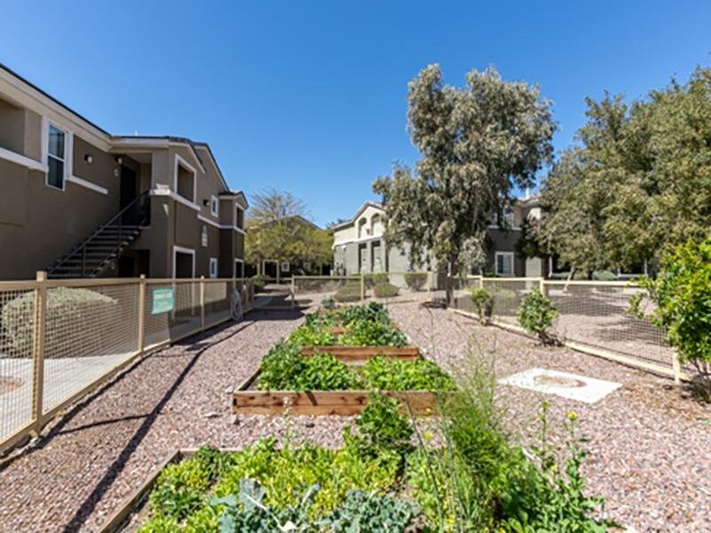Community Garden